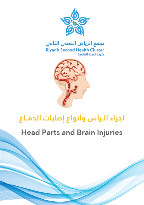 HEM1.18.000310 Head Parts and Brain Injuries.pdf